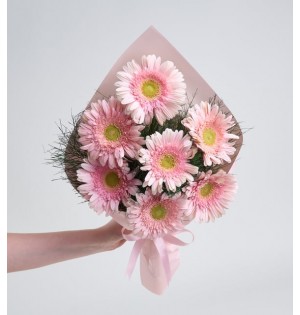 Pembe Gerbera Buketi