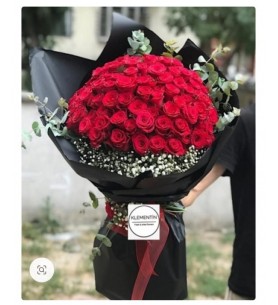 VİP 101